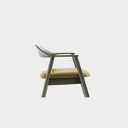 Karm Lounge Chair gallery detail image