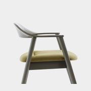 Karm Lounge Chair gallery detail image