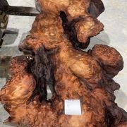 Swamp Kauri Slabs gallery detail image