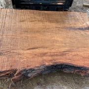 Swamp Kauri Slabs gallery detail image
