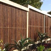 Bamboo Fencing Panels gallery detail image