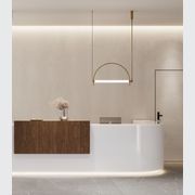 Arc Pendant Light gallery detail image