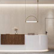 Arc Pendant Light gallery detail image