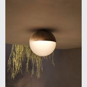 Sfera Ceiling Light gallery detail image