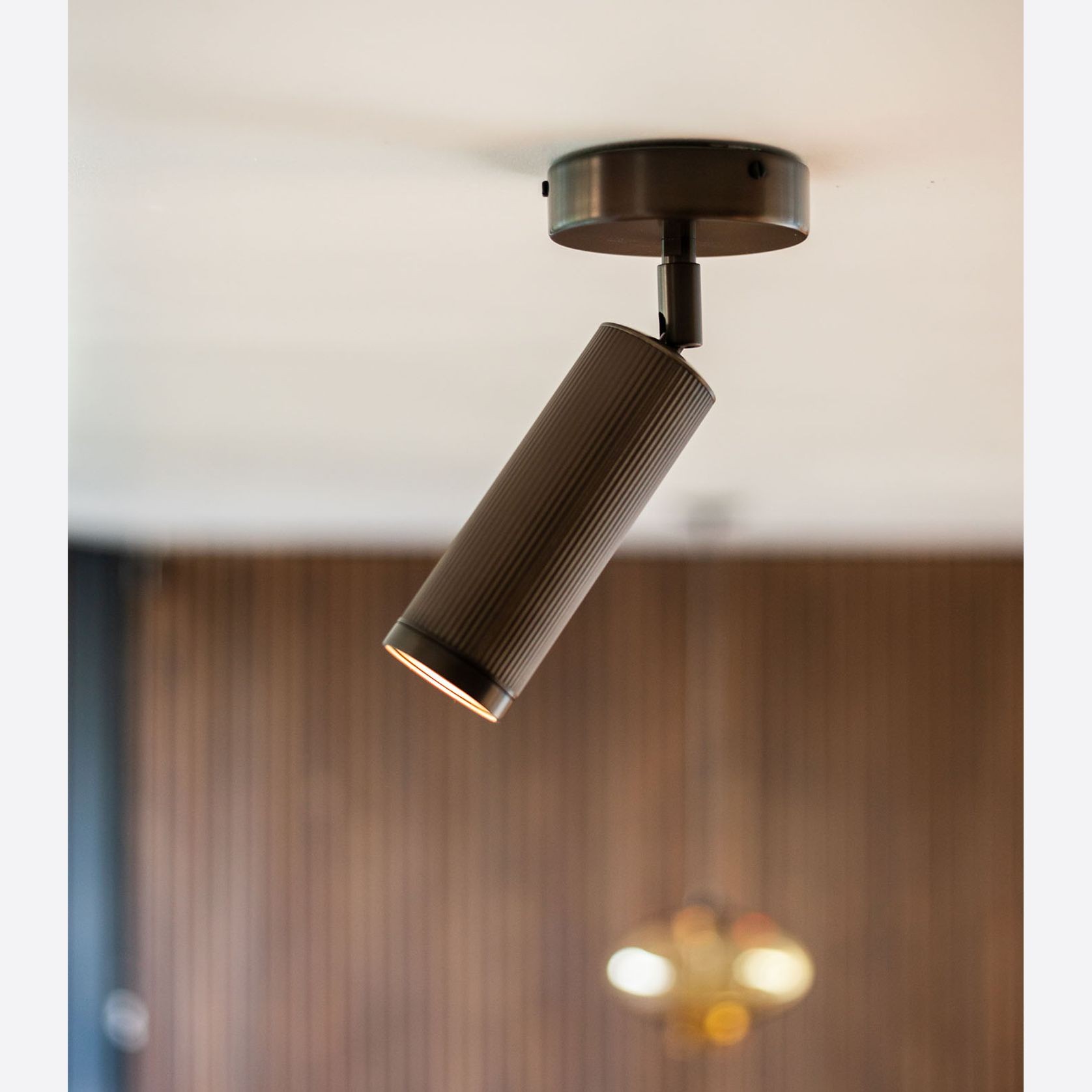 Spot Ceiling Light gallery detail image
