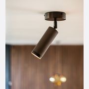 Spot Ceiling Light gallery detail image