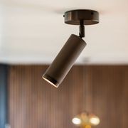 Spot Ceiling Light gallery detail image