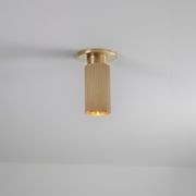 Spot Pro Mini Ceiling Light gallery detail image