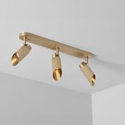 Spot Pro Triple Ceiling Light gallery detail image