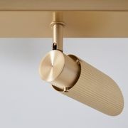 Spot Pro Triple Ceiling Light gallery detail image
