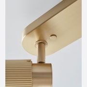 Spot Pro Triple Ceiling Light gallery detail image