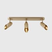 Spot Pro Triple Ceiling Light gallery detail image