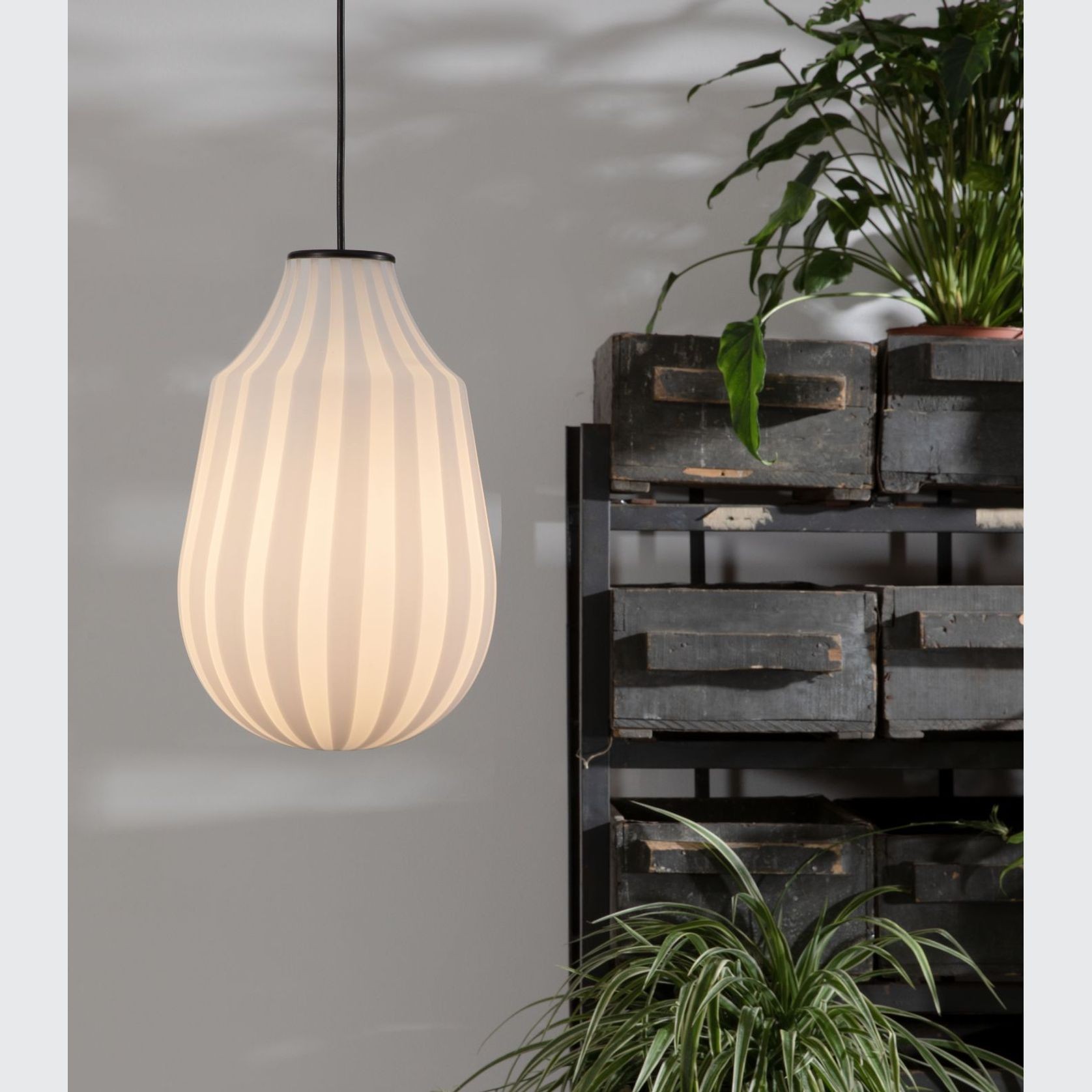 Circus Pendant Light gallery detail image