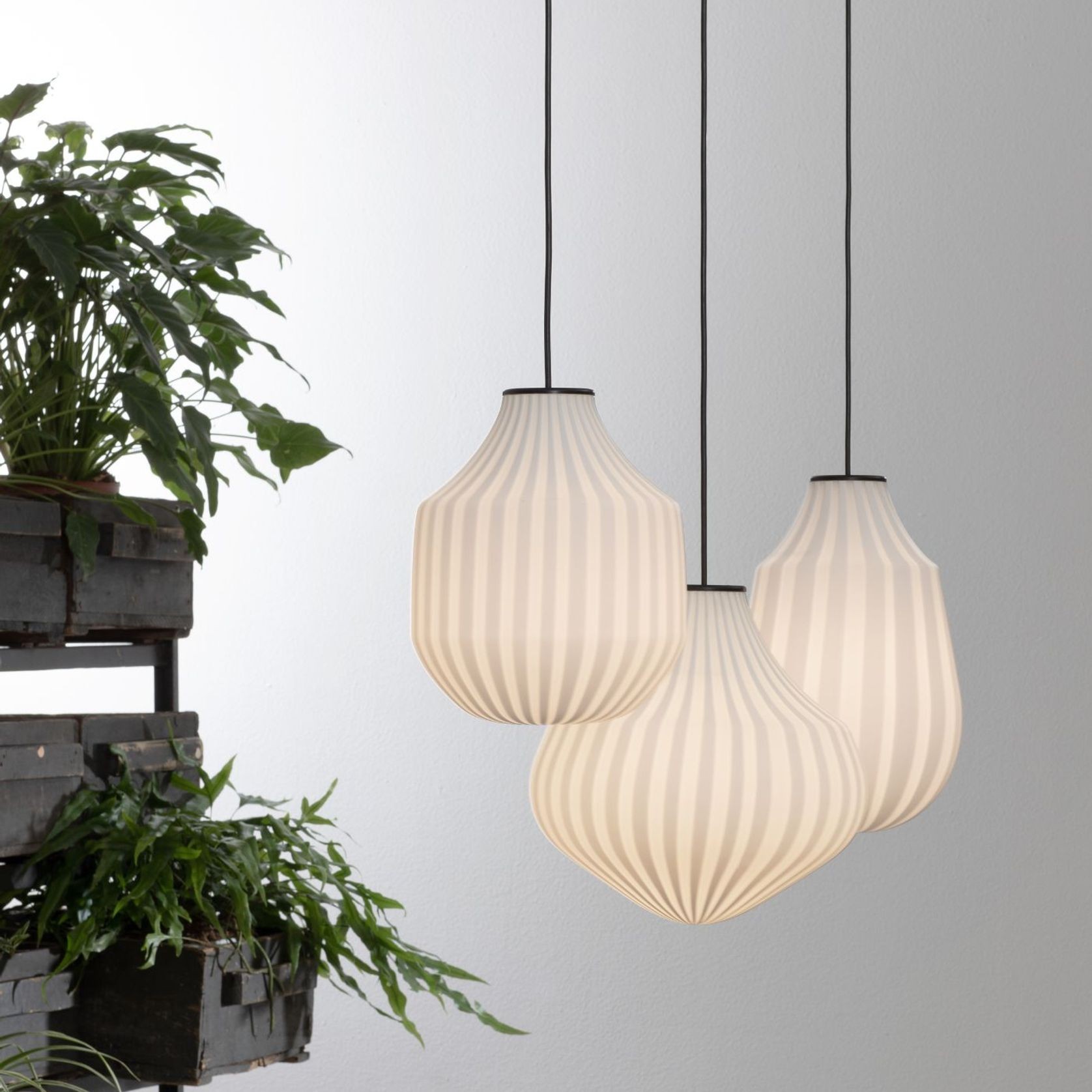 Circus Pendant Light gallery detail image