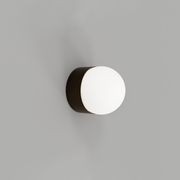 Orb Sur Mini Wall Light gallery detail image