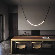 Leda Curve Pendant Light gallery detail image