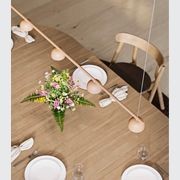 Blush Rail 5lt Pendant Light gallery detail image