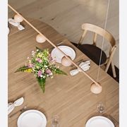 Blush Rail 5lt Pendant Light gallery detail image