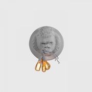 Ugo Rilla Wall Light gallery detail image