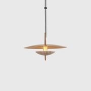 Luna Pendant Light gallery detail image