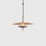 Luna Pendant Light gallery detail image