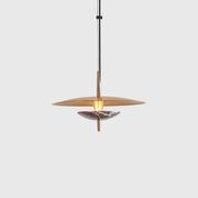 Luna Pendant Light gallery detail image