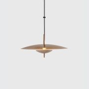 Luna Pendant Light gallery detail image