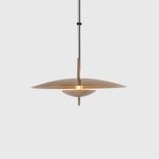 Luna Pendant Light gallery detail image