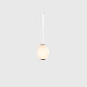 Nova Tall Pendant Light gallery detail image