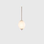 Nova Tall Pendant Light gallery detail image