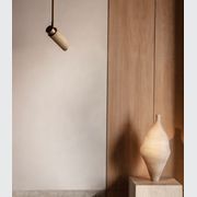 Spot Pro Ceiling Light gallery detail image