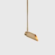 Spot Pro Ceiling Light gallery detail image