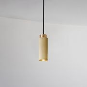 Spot Pro Pendant Light gallery detail image