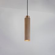 Spot Pro Pendant Light gallery detail image