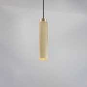 Spot Pro Pendant Light gallery detail image