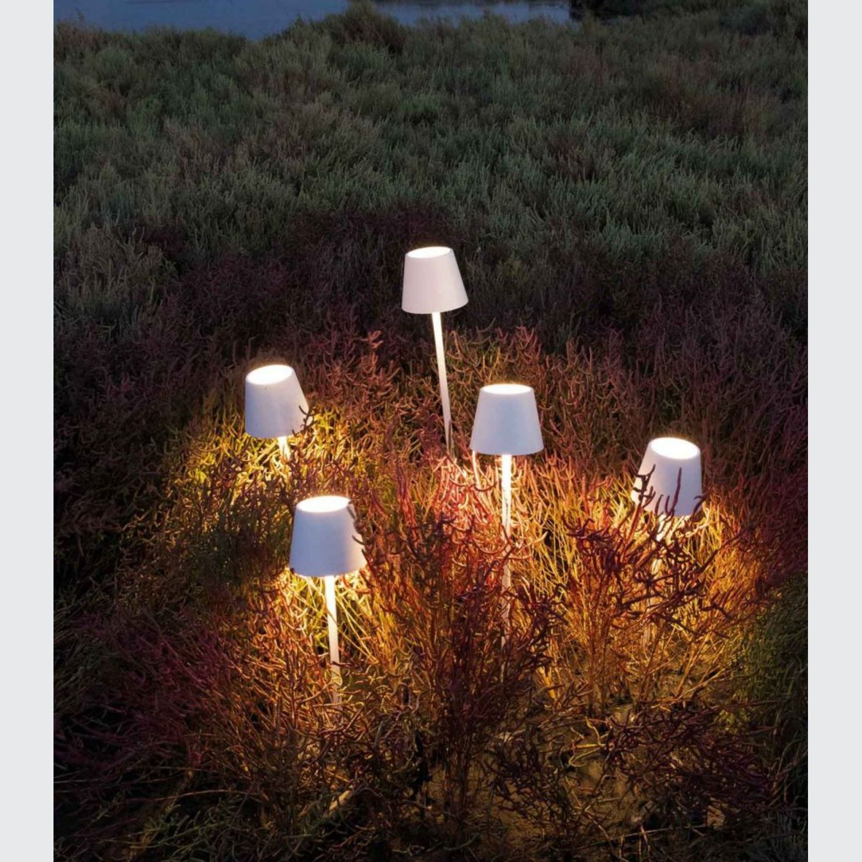 Poldina Table Lamp gallery detail image