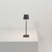 Poldina Micro Table Lamp gallery detail image