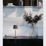 Poldina Mini Table Lamp gallery detail image