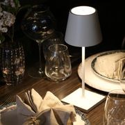Poldina Mini Table Lamp gallery detail image