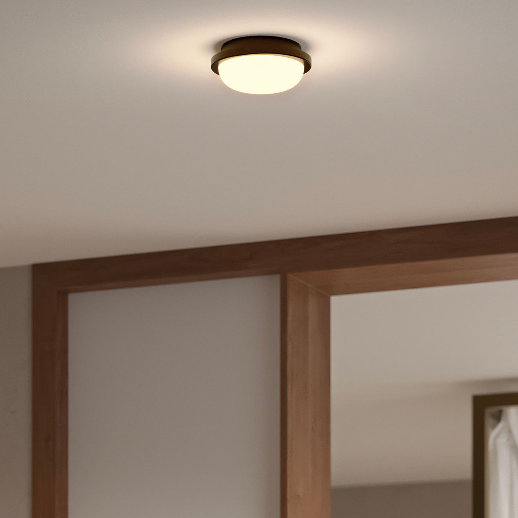 Bode Round Wall/Ceiling Light gallery detail image