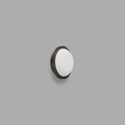 Bode Round Wall/Ceiling Light gallery detail image