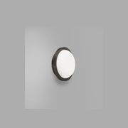 Bode Round Wall/Ceiling Light gallery detail image