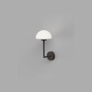 Dome Long Arm Wall Light gallery detail image