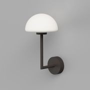 Dome Long Arm Wall Light gallery detail image