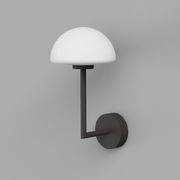 Dome Long Arm Wall Light gallery detail image
