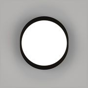 Bode Round Wall/Ceiling Light gallery detail image