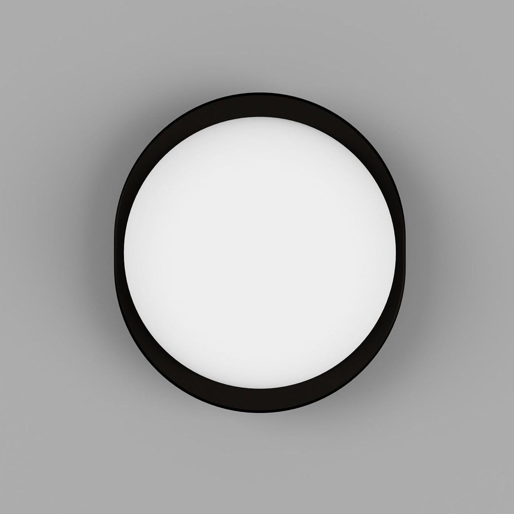 Bode Round Wall/Ceiling Light gallery detail image
