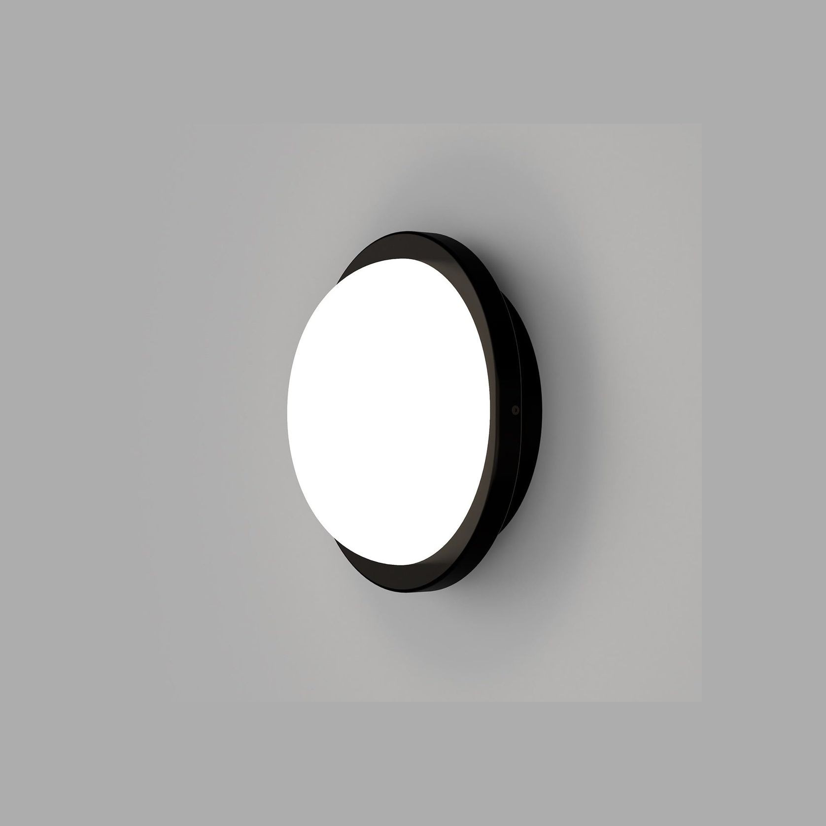 Bode Round Wall/Ceiling Light gallery detail image