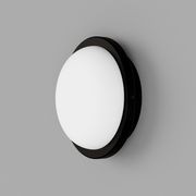 Bode Round Wall/Ceiling Light gallery detail image