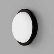 Bode Round Wall/Ceiling Light gallery detail image
